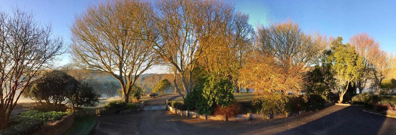 Omaka Bed & Breakfast